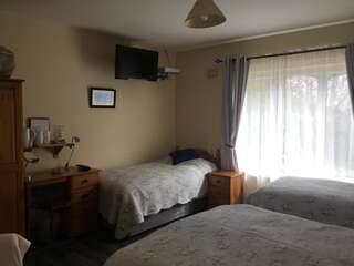 Отели типа «постель и завтрак» Killurin Lodge Уэксфорд Quadruple or Triple Room with Private Bathroom-4